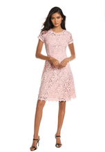 Load image into Gallery viewer, FOCUS by Shani — Laser Cut Fit &amp; Flare Dress in Pale Pink