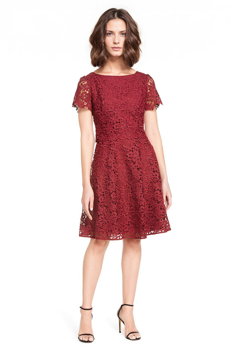Shani Fit & Flare Popover Lace Dress in Wine - Red - 14 Shani Fit & Flare Popover Lace Dress in Wine - Red - 14