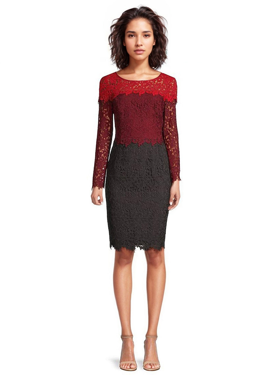 Focus by Shani Long Sleeve Ombre Lace Sheath Dress