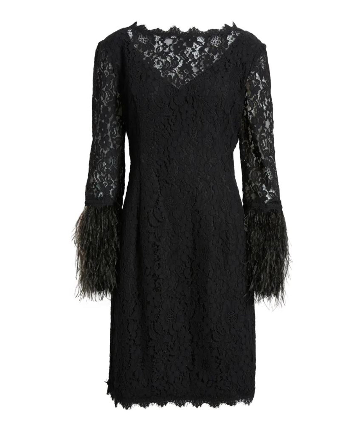 Buy Online Feather-Trim Lace Sheath Dress for Women | Shani Collection Buy Online Feather-Trim Lace Sheath Dress for Women | Shani Collection