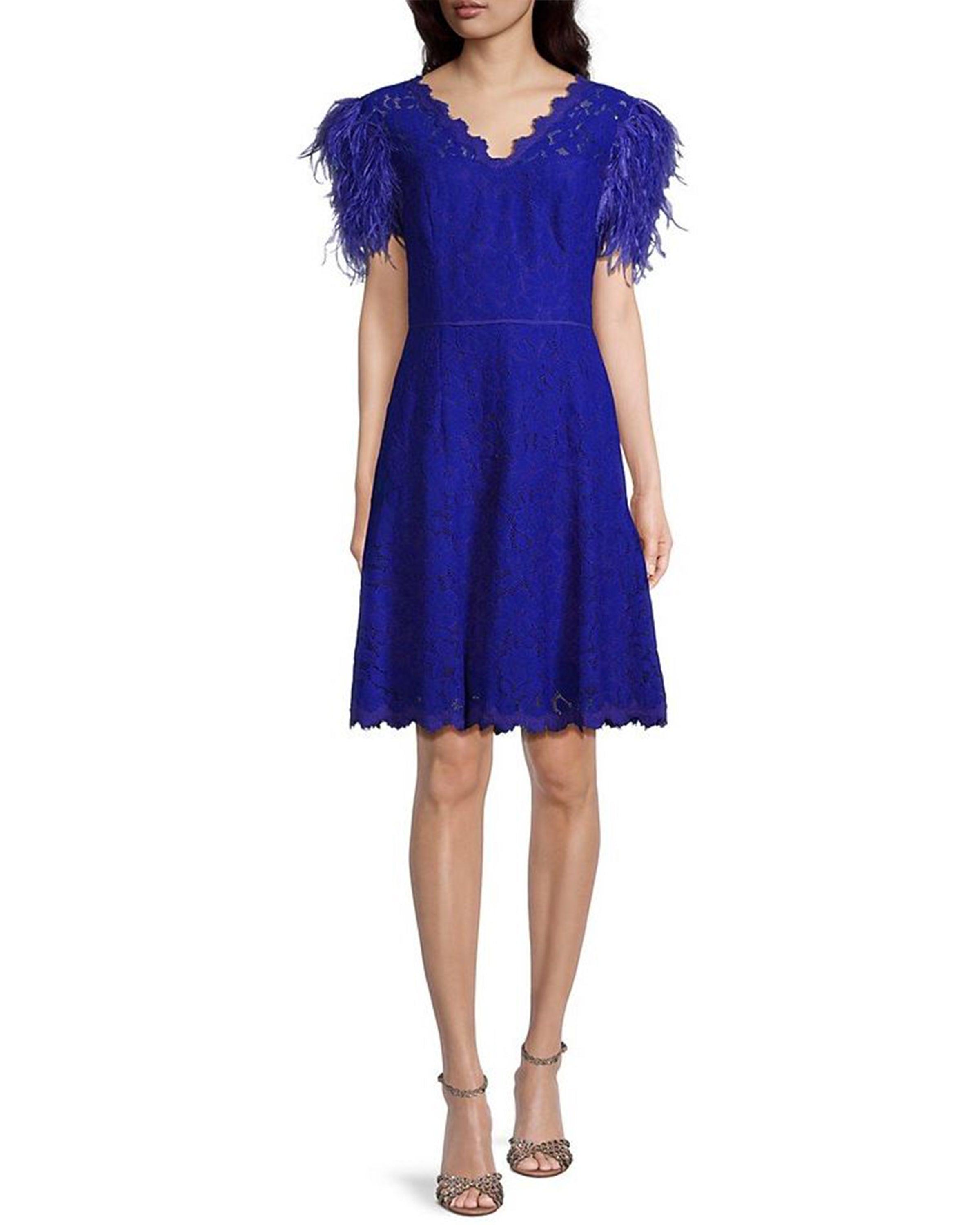 Fit and Flare Lace Dress with Feather Sleeves