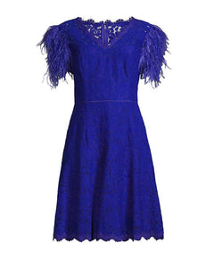 Fit and Flare Lace Dress with Feather Sleeves