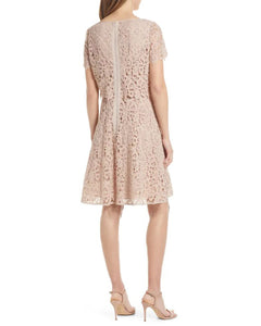 Fit and Flare Popover Lace Dress in Champagne