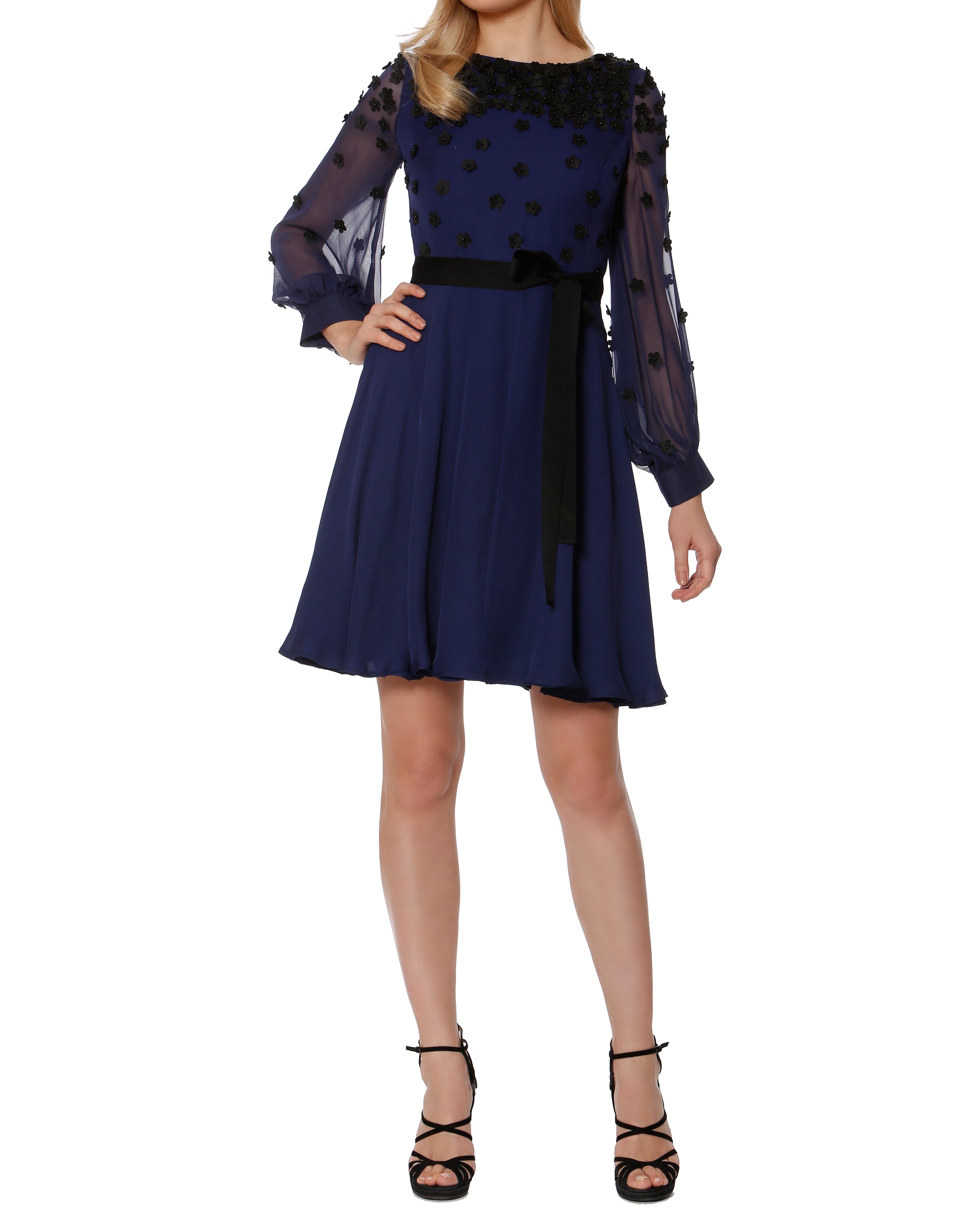 Applique Georgette Fit and Flare Dress